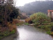 Rio de Monistrol de Calders (Barcelona)